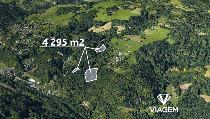 Prodej pole, Železný Brod, 4295 m2
