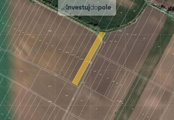 Prodej pole, Břeclav, 2441 m2