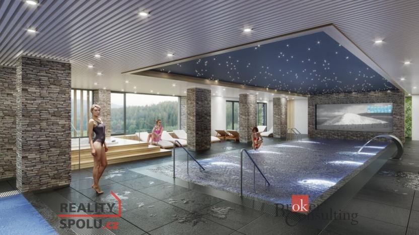 Prodej bytu 1+kk, Černý Důl, 38 m2