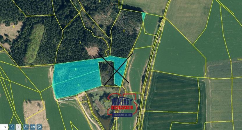 Prodej lesa, Ješetice, 52351 m2