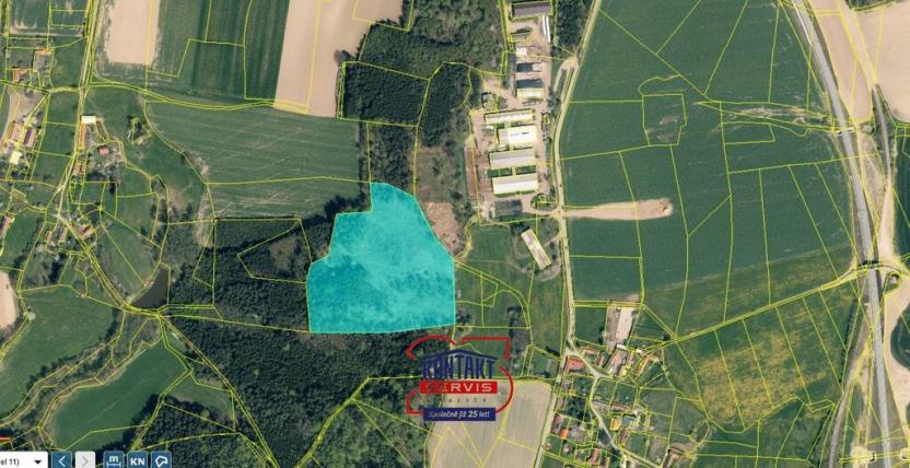 Prodej lesa, Ješetice, 40017 m2