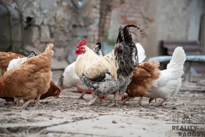 Prodej rodinného domu, Přeskače, 111 m2