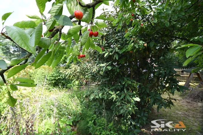 Prodej zahrady, Louny, Na Losech, 456 m2