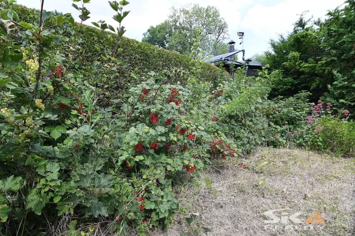 Prodej zahrady, Louny, Na Losech, 456 m2