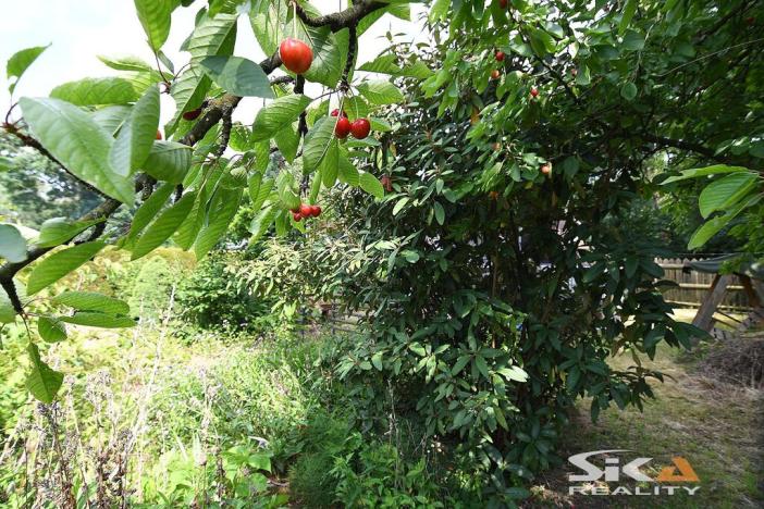 Prodej chaty, Louny, Na Losech, 20 m2