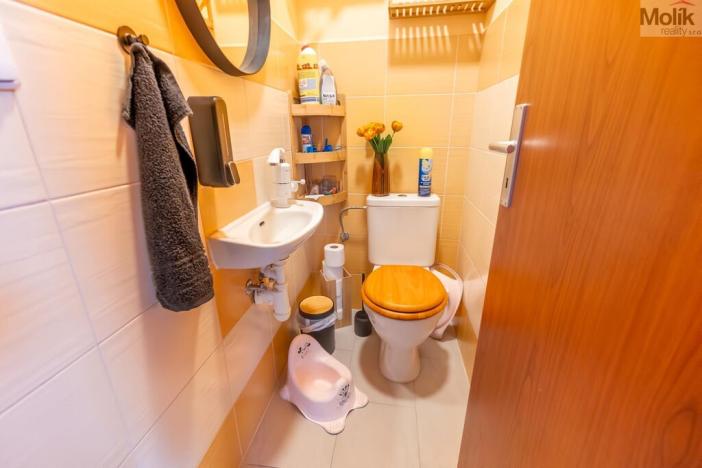 Prodej rodinného domu, Obříství, Povodňová, 150 m2