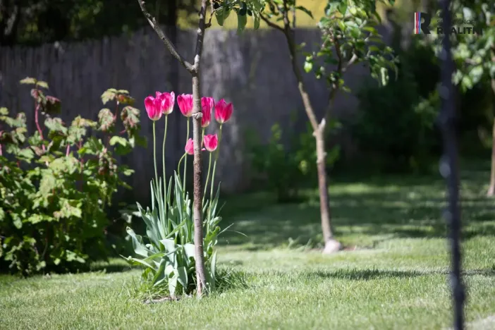 Prodej rodinného domu, Třeboň - Břilice, Dunajovická, 396 m2