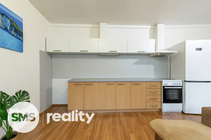 Prodej bytu 2+kk, Opava - Kateřinky, Hálkova, 60 m2