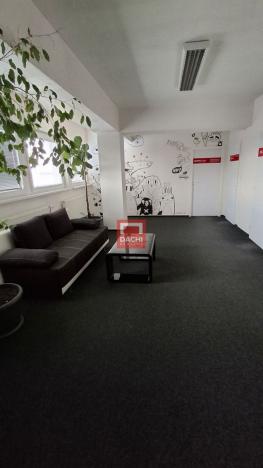 Pronájem kanceláře, Olomouc, Šlechtitelů, 185 m2