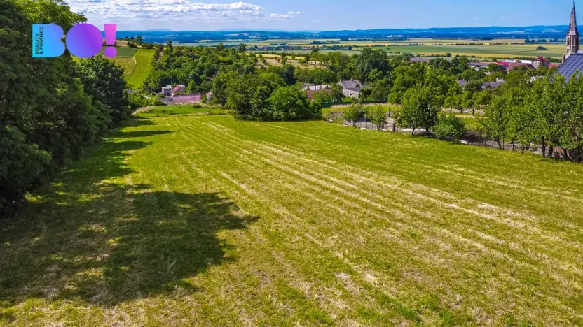 Prodej pozemku pro bydlení, Stará Ves, 6016 m2