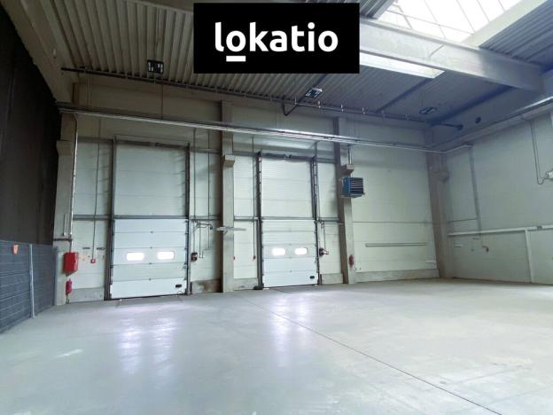 Pronájem skladu, Ostrava, 711 m2