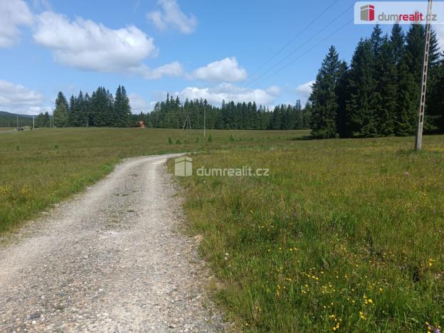 Prodej pozemku pro bydlení, Orlické Záhoří, 3720 m2