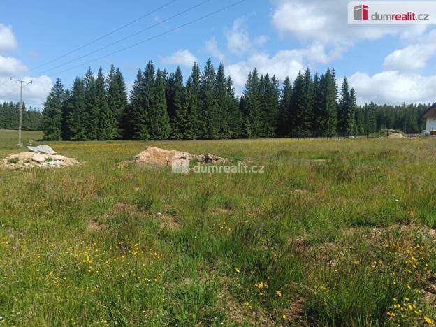 Prodej pozemku pro bydlení, Orlické Záhoří, 3720 m2