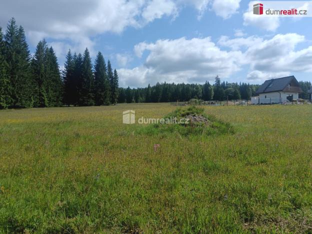 Prodej pozemku pro bydlení, Orlické Záhoří, 3720 m2