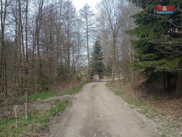 Prodej louky, Kořenov - Rejdice, 6962 m2