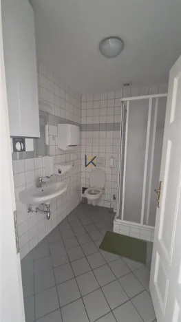 Pronájem kanceláře, Praha, Myslíkova, 424 m2