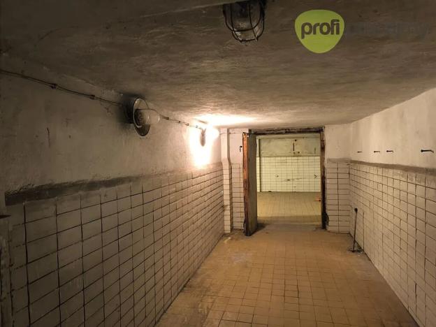 Pronájem skladu, Ostrava, Cihelní, 172 m2