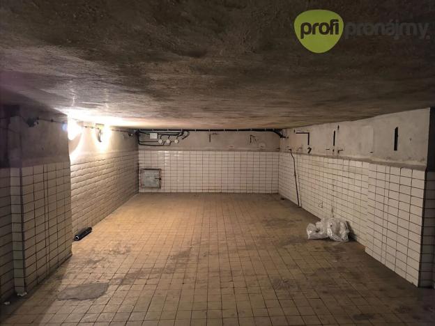 Pronájem skladu, Ostrava, Cihelní, 172 m2