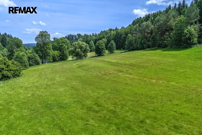 Prodej pozemku pro bydlení, Červená Voda, 7993 m2