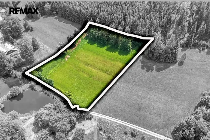 Prodej pozemku pro bydlení, Červená Voda, 7993 m2