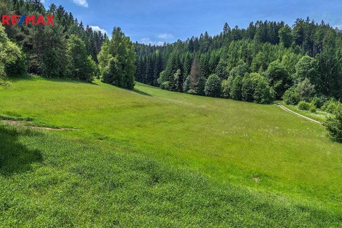 Prodej pozemku pro bydlení, Červená Voda, 3672 m2