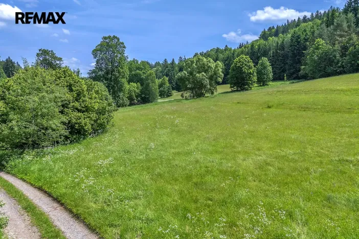 Prodej pozemku pro bydlení, Červená Voda, 3948 m2