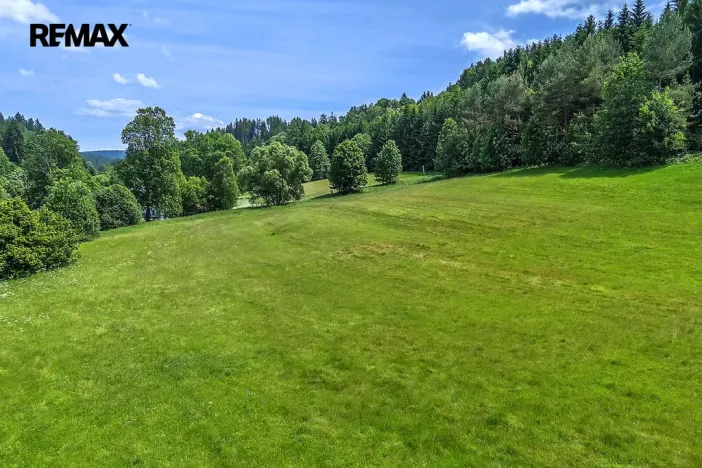 Prodej pozemku pro bydlení, Červená Voda, 3948 m2
