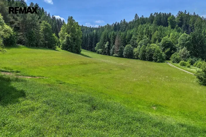 Prodej pozemku pro bydlení, Červená Voda, 3948 m2