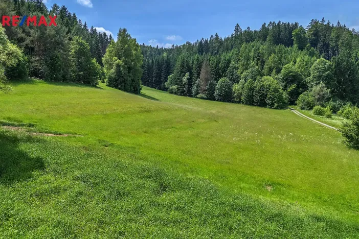 Prodej pozemku pro bydlení, Červená Voda, 4322 m2