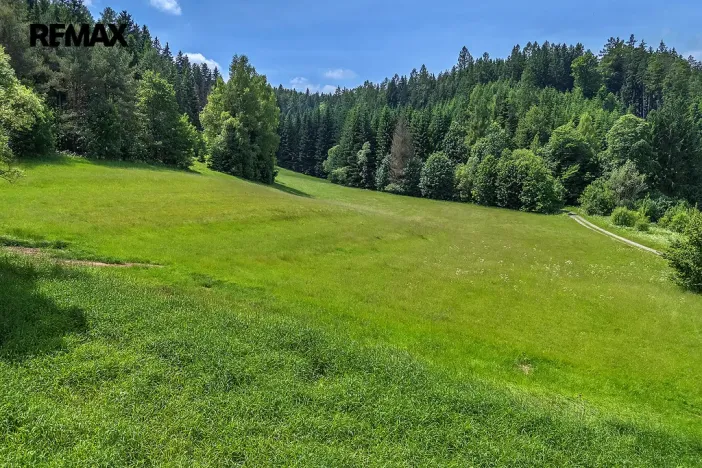 Prodej pozemku pro bydlení, Červená Voda, 4322 m2