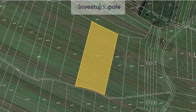 Prodej pole, Bzenec, 3029 m2