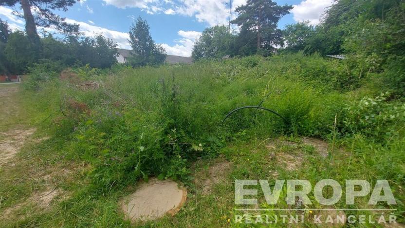 Prodej pozemku pro bydlení, Štěchovice - Třebenice, 629 m2