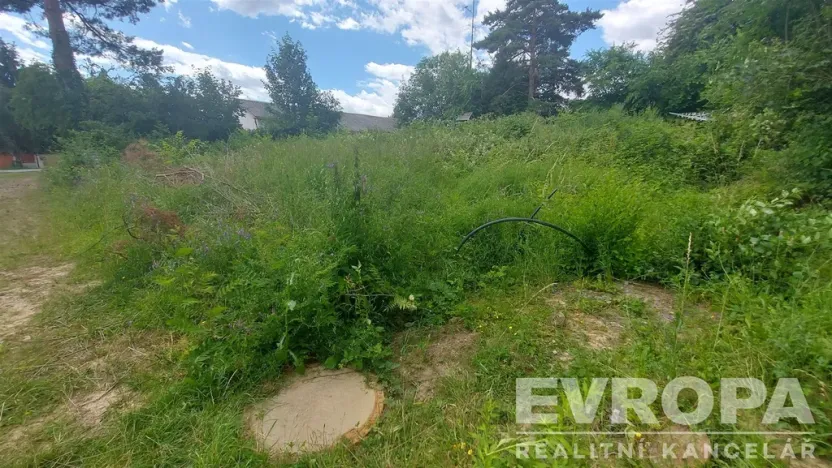 Prodej pozemku pro bydlení, Štěchovice - Třebenice, 629 m2