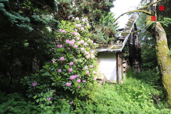 Prodej rodinného domu, Nový Bor - Arnultovice, Havlíčkova, 138 m2