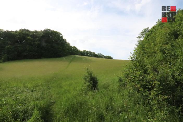 Prodej rodinného domu, Nový Bor - Arnultovice, Havlíčkova, 138 m2