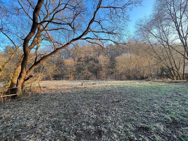 Prodej louky, Malé Kyšice, 3723 m2