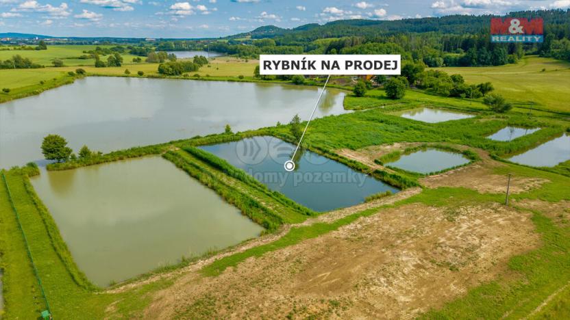Prodej rybníku, Ostružno, 3377 m2