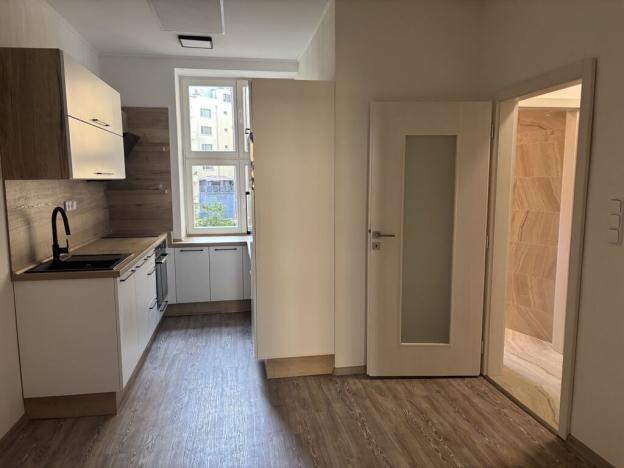 Pronájem bytu 1+kk, Praha - Nusle, Družstevní, 38 m2