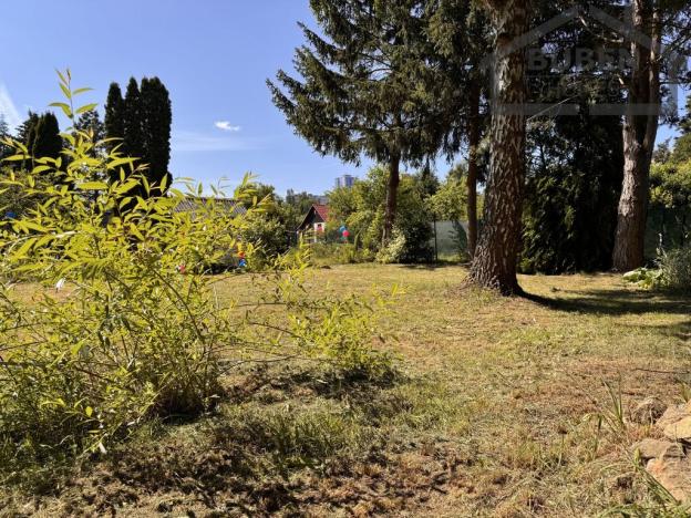 Prodej chaty, Tachov, 14 m2