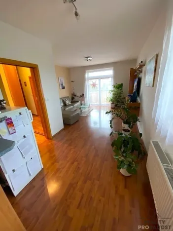 Pronájem bytu 3+kk, Olomouc, Mošnerova, 112 m2