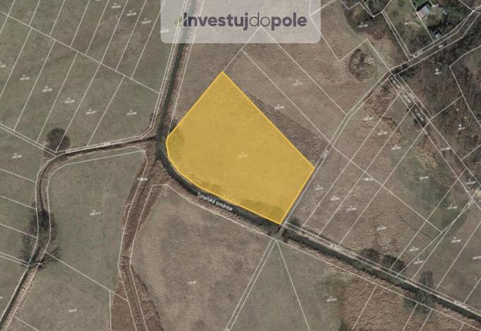 Prodej louky, Kly - Dolní Vinice, 1500 m2
