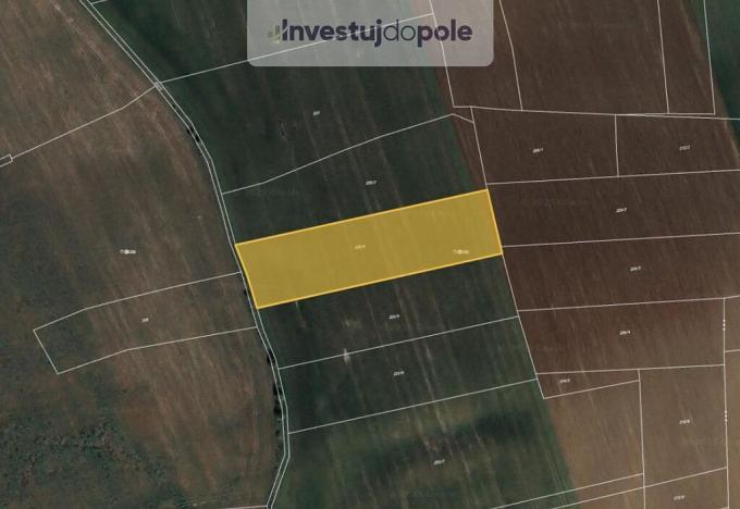 Prodej pole, Dobříč, 2910 m2