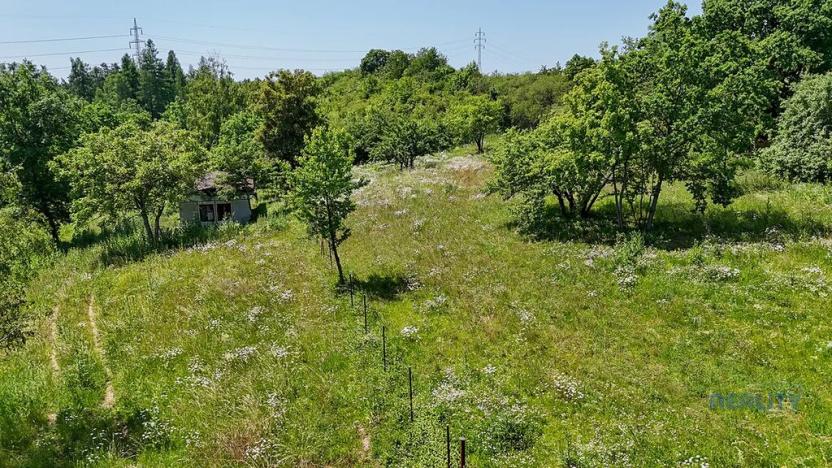 Prodej zahrady, Praha - Dolní Chabry, 10599 m2