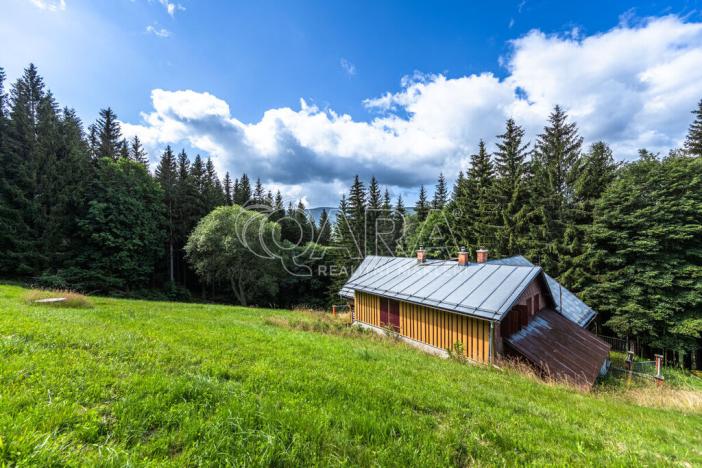 Pronájem chalupy, Pec pod Sněžkou - Velká Úpa, 221 m2