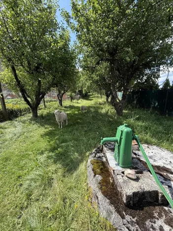 Prodej chaty, Planá, 98 m2