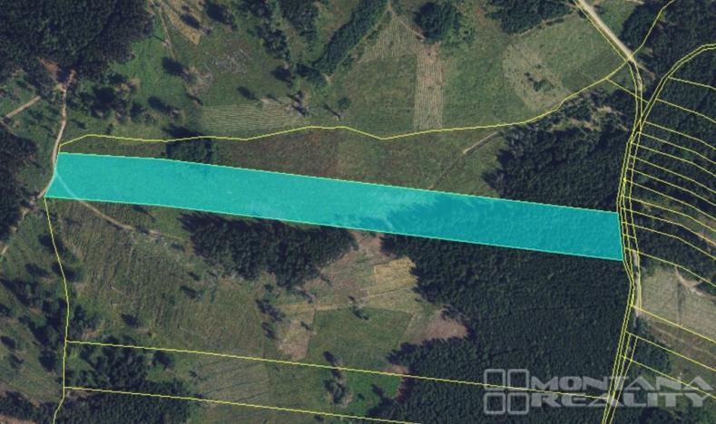 Prodej lesa, Městečko Trnávka - Lázy, 42338 m2