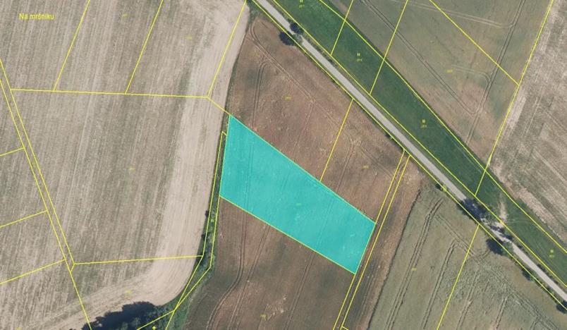 Prodej louky, Zdobín, 145881 m2