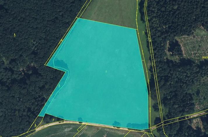 Prodej louky, Zdobín, 145881 m2