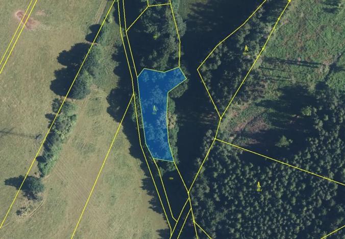 Prodej louky, Zdobín, 145881 m2