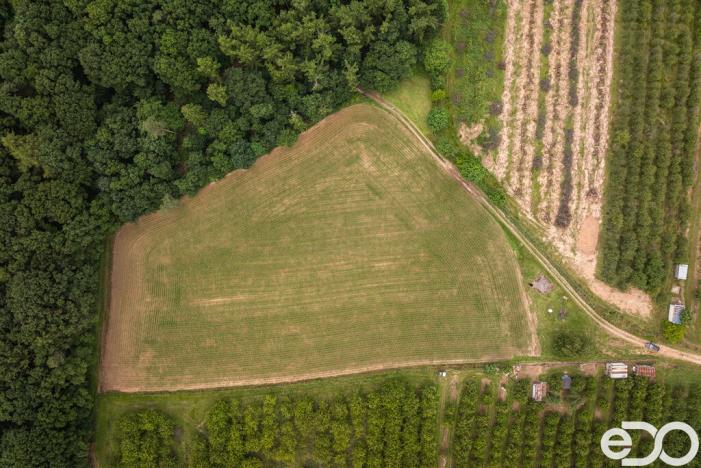 Prodej pozemku pro bydlení, Těchlovice, 11163 m2